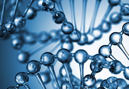 Comprensión de la estructura y función del excipiente de trehalosa dihidrato