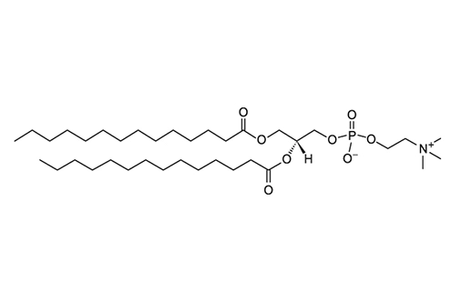 12 dimyristoyl sn glycero 3 phosphocholinefor injection dmpc