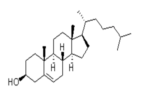 Colesterol (origen vegetal)